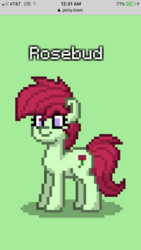 Size: 750x1334 | Tagged: safe, oc, oc only, oc:rosebud, pony, pony town, cute, cutie mark, female, flower, green background, mare, pixel art, rose, simple background, small, solo
