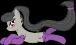 Size: 480x288 | Tagged: source needed, safe, artist:zuko42, octavia melody, earth pony, pony, g4, black background, blushing, clothes, female, looking at you, lying down, mare, simple background, socks, solo