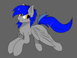 Size: 1280x960 | Tagged: safe, artist:llhopell, oc, oc only, oc:hope(llhopell), pegasus, pony, male, simple background, smiling, solo, stallion