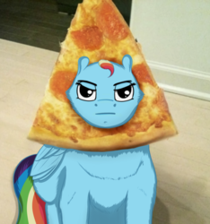 Size: 905x965 | Tagged: safe, artist:umgaris, rainbow dash, pegasus, pony, g4, breading, female, folded wings, food, looking at you, mare, meat, pepperoni, pepperoni pizza, pizza, sitting, solo, unamused, wat, wings