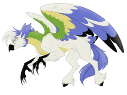 Size: 2224x1668 | Tagged: safe, artist:cranberry--zombie, oc, oc only, classical hippogriff, hippogriff, colored wings, glasses, hippogriff oc, male, multicolored wings, realistic horse legs, simple background, solo, transparent background