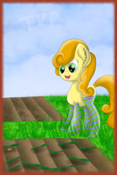 Size: 2000x3000 | Tagged: safe, artist:php124, carrot top, golden harvest, pony, g4, carrot, clothes, female, field, food, grass, high res, socks, solo, striped socks