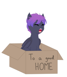 Size: 3496x4000 | Tagged: safe, artist:xcinnamon-twistx, oc, bat pony, pony, bat pony oc, bat wings, box, commission, eyes closed, folded wings, open mouth, short hair, wings, ych result