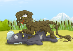 Size: 4982x3534 | Tagged: safe, artist:pzkratzer, gilda, thunderlane, griffon, pegasus, pony, g4, absurd resolution, backwards cutie mark, beach, belly button, boop, cattails, covered in mud, duo, female, full covered, gildalane, male, messy, mountain, mud, mud bath, mud boop, mud river, muddy, on back, reeds, sand, shipping, straight, sunbathing, swamp, wet and messy