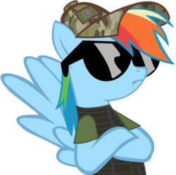 Size: 1045x1040 | Tagged: safe, artist:totallynotabronyfim, rainbow dash, pony, g4, body armor, camouflage, clothes, crossed hooves, female, hat, solo, sunglasses, toothpick, vest