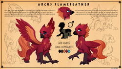 Size: 3000x1687 | Tagged: safe, artist:discordthege, oc, oc only, oc:arcus, oc:arcus flamefeather, classical hippogriff, hippogriff, chest fluff, commission, looking at you, male, reference sheet, solo, spread wings, wings