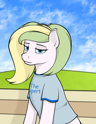 Size: 795x1024 | Tagged: safe, artist:kirr12, oc, oc only, earth pony, pony, clothes, female, looking at you, mare, shirt, sitting, solo, the expert