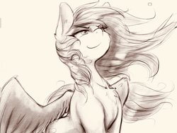 Size: 2048x1536 | Tagged: safe, artist:alcor, rainbow dash, pegasus, pony, chest fluff, cute, dashabetes, female, flowing mane, majestic, mare, monochrome, simple background, sketch, smiling, solo, spread wings, white background, wind, wings