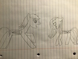 Size: 3264x2448 | Tagged: safe, artist:asiandra dash, fluttershy, rainbow dash, pegasus, pony, g4, argument, crying, high res, lineart, lined paper, pencil drawing, traditional art
