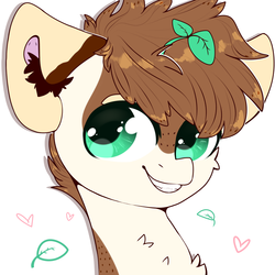 Size: 2000x2000 | Tagged: safe, artist:etoz, oc, oc only, oc:choco minx, earth pony, pony, bust, commission, green eyes, heart, high res, male, plant, smiling, stallion, ych result