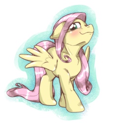 Size: 1536x1536 | Tagged: safe, artist:kurogewapony, fluttershy, pegasus, pony, :3, blushing, female, floppy ears, knife cat, looking at you, looking down, ponified animal photo, smiling, smug, solo, standing, three quarter view, wings