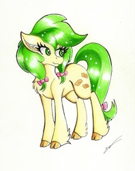 Size: 2391x3017 | Tagged: safe, artist:luxiwind, apple fritter, earth pony, pony, g4, apple family member, female, high res, solo, traditional art