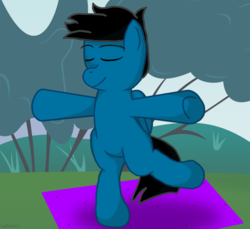 Size: 3600x3300 | Tagged: safe, artist:agkandphotomaker2000, oc, oc only, oc:pony video maker, pegasus, pony, bipedal, eyes closed, high res, male, outdoors, pose, solo, standing, standing on one leg, yoga, yoga pose