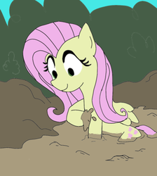 Size: 493x550 | Tagged: source needed, safe, artist:php162, fluttershy, pegasus, pony, g4, colored, female, mare, mud