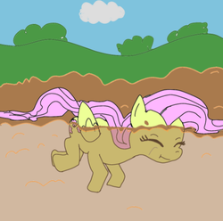 Size: 499x496 | Tagged: source needed, safe, artist:php162, fluttershy, pegasus, pony, g4, colored, female, mare, mud, solo