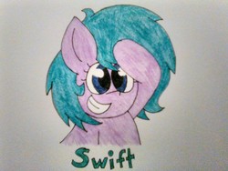 Size: 1600x1200 | Tagged: safe, artist:thebadbadger, oc, oc:swift swirl, pony, simple background, traditional art, white background