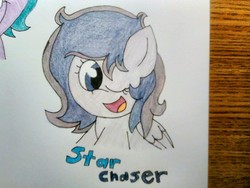 Size: 1600x1200 | Tagged: safe, artist:thebadbadger, oc, oc:star chaser, pegasus, pony, simple background, traditional art, white background