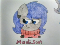 Size: 1600x1200 | Tagged: safe, artist:thebadbadger, oc, oc:madison, pony, traditional art