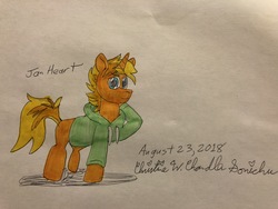 Size: 4032x3024 | Tagged: safe, artist:chris chan, oc, oc only, oc:jai heart, pony, chris chan, commission, traditional art