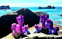 Size: 1948x1222 | Tagged: safe, artist:hihin1993, berry punch, berryshine, earth pony, pony, g4, irl, japan, multeity, photo, plushie, vineyard of punches, water