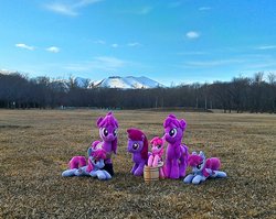 Size: 1525x1213 | Tagged: safe, artist:hihin1993, berry punch, berryshine, earth pony, pony, g4, field, irl, japan, multeity, photo, plushie, vineyard of punches