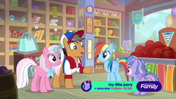 Size: 1920x1080 | Tagged: safe, screencap, clear sky, quibble pants, rainbow dash, wind sprint, earth pony, pegasus, pony, unicorn, common ground, g4, auntie dashie, book, buckball, clothes, cowboy hat, discovery family logo, female, filly, foal, group, hat, heart, logo, magic, magic aura, male, mare, medals, quartet, shirt, shopping bag, stallion, store, telekinesis, trophy
