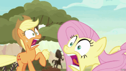 Size: 1920x1080 | Tagged: safe, screencap, applejack, fluttershy, loose tracks, pony, g4, sounds of silence, animated, crazy face, duo focus, faic, fear, female, gif, gifs.com, loop, reaction image, scared, screaming, silhouette, yelling