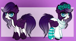 Size: 1214x658 | Tagged: safe, artist:classicalvaccine, oc, oc only, oc:tranquil skies, pegasus, pony, blank flank, blaze (coat marking), clothes, coat markings, facial markings, female, floral head wreath, flower, heart eyes, mare, scar, socks, solo, striped socks, sweater, wingding eyes