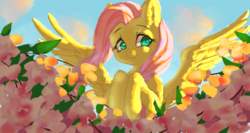 Size: 1280x680 | Tagged: safe, artist:鬼流, fluttershy, pegasus, pony, g4, bust, cute, female, flower, hooves to the chest, looking at you, looking away, mare, shyabetes, smiling, solo, spread wings, wings