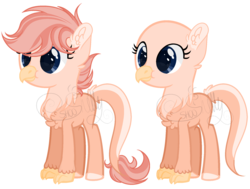 Size: 1810x1369 | Tagged: safe, artist:sh3llysh00, oc, oc only, oc:fawna, hippogriff, hybrid, bald, female, fledgeling, interspecies offspring, magical lesbian spawn, offspring, parent:gabby, parent:scootaloo, parents:gabbyloo, simple background, solo, transparent background