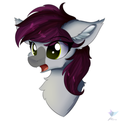 Size: 1666x1666 | Tagged: safe, artist:lunar froxy, oc, oc only, oc:velvet hooves, bat pony, pony, bat pony oc, bust, cheek fluff, chest fluff, cute, cute little fangs, dilated pupils, ear fluff, eye clipping through hair, fangs, female, mare, open mouth, portrait, simple background, solo, transparent background