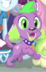 Size: 563x882 | Tagged: safe, screencap, fluttershy, rainbow dash, sci-twi, spike, spike the regular dog, twilight sparkle, dog, equestria girls, g4, my little pony equestria girls: friendship games, cropped, cute, male, offscreen character, paws, smiling, spikabetes, spike's dog collar, tail