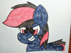 Size: 2560x1920 | Tagged: safe, artist:thebadbadger, oc, oc only, unnamed oc, pegasus, pony, solo, traditional art