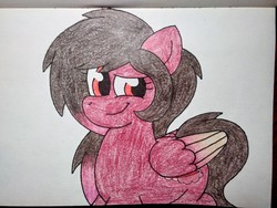 Size: 2560x1920 | Tagged: safe, artist:thebadbadger, oc, oc only, oc:heather, pegasus, pony, solo, traditional art