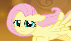 Size: 1680x983 | Tagged: safe, screencap, fluttershy, pegasus, pony, the beginning of the end, confident, cropped, female, floppy ears, flying, looking at you, mare, narrowed eyes, smiling, smirk, solo, spread wings, wings
