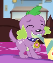 Size: 386x461 | Tagged: safe, screencap, spike, spike the regular dog, dog, equestria girls, g4, my little pony equestria girls: better together, reboxing with spike!, cropped, eyes closed, male, paws, smiling, spike's dog collar, tail