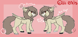 Size: 4721x2257 | Tagged: safe, artist:oddends, oc, oc only, oc:oddends, pegasus, pony, chest fluff, female, floppy ears, mare, reference sheet, solo, unshorn fetlocks