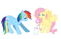 Size: 2000x1306 | Tagged: dead source, safe, artist:nouge, angel bunny, fluttershy, rainbow dash, pegasus, pony, g4, angel is a bunny bastard, angry, animated, blocking, blushing, cross-popping veins, emanata, female, lesbian, looking at each other, mare, ship:flutterdash, shipping, simple background, wings