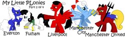 Size: 1000x300 | Tagged: safe, pony, everton, football, fulham, liverpool fc, manchester city, manchester united, ponified, premier league, sports