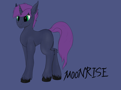 Size: 2700x2000 | Tagged: safe, artist:moonrise314, oc, oc only, pony, unicorn, female, high res, solo