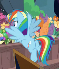 Size: 202x233 | Tagged: safe, screencap, rainbow dash, pegasus, pony, g4, the beginning of the end, butt, cropped, female, flower, mare, plot, rainbutt dash, solo, spread wings, wings