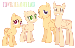 Size: 5705x3689 | Tagged: safe, artist:flowerdreamshy, oc, oc only, pegasus, pony, bald, base, female, male, mare, simple background, stallion, transparent background, transparent wings, wings