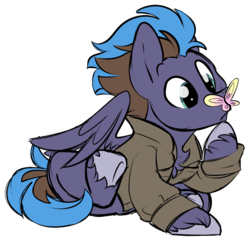 Size: 1024x989 | Tagged: safe, artist:kellythedrawinguni, oc, oc only, butterfly, pegasus, pony, clothes, jacket, male, simple background, solo, stallion, transparent background
