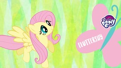 Size: 1920x1078 | Tagged: safe, fluttershy, butterfly, pegasus, pony, g4, official, abstract background, cutie mark, facebook, female, fluttershy month, mare, my little pony logo, solo, text, wallpaper
