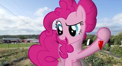 Size: 809x439 | Tagged: safe, artist:faze-alan-mskull2019, pinkie pie, earth pony, pony, g4, chili, dreamworks face, farm, farmer, food, garden, irl, pepper, pepper chili, photo, ponies in real life