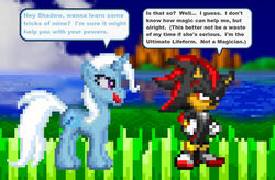 Size: 1024x670 | Tagged: safe, artist:beewinter55, trixie, g4, crossover, male, pixel art, shadow the hedgehog, sonic the hedgehog, sonic the hedgehog (series)