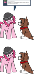 Size: 800x1733 | Tagged: safe, artist:askwinonadog, pinkie pie, winona, dog, ask winona, g4, ask, bowler hat, comic, duo, hat, missing cutie mark, simple background, tongue out, tumblr, white background