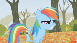 Size: 1280x720 | Tagged: safe, screencap, rainbow dash, pegasus, pony, fall weather friends, g4, angry, autumn, bare tree, bound wings, female, gritted teeth, mare, rope, tree