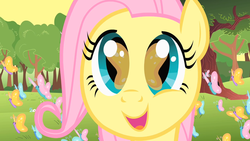 Size: 1280x720 | Tagged: safe, screencap, fluttershy, butterfly, pony, g4, the cutie mark chronicles, close-up, female, filly, filly fluttershy, so many wonders, solo, younger