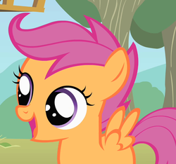 Size: 770x720 | Tagged: safe, screencap, scootaloo, pegasus, pony, g4, the show stoppers, cropped, cute, cutealoo, female, filly, foal, open mouth, solo